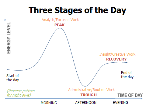 Circadian Rhythm Patterns